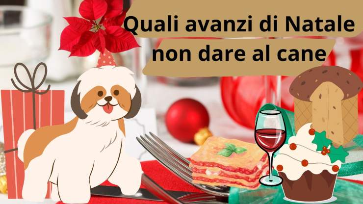 Qué no darle de comer a tu perro en Navidad