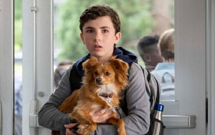 Perro Mi gran amigo Amigo