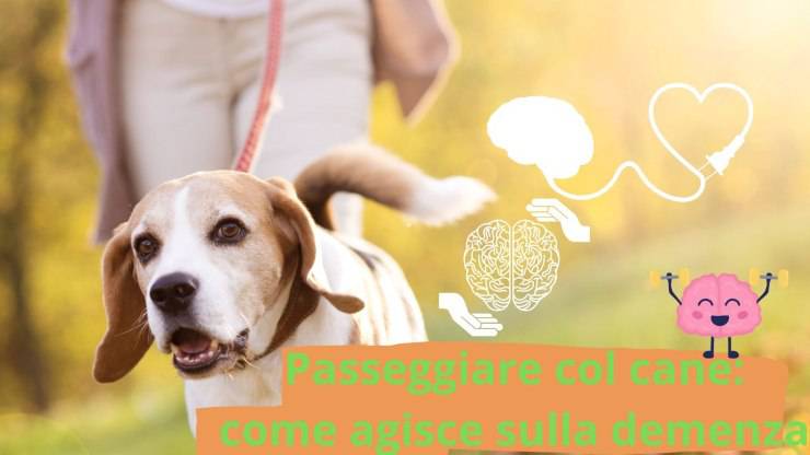 Pasear al perro