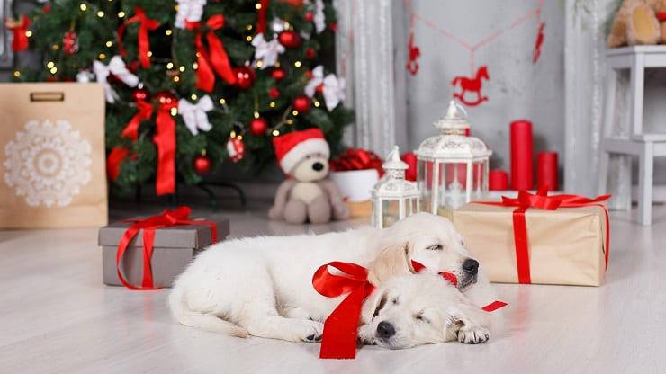 regalos de navidad 2021
