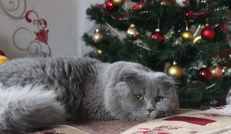 Regalos de Navidad para los amantes de los gatos