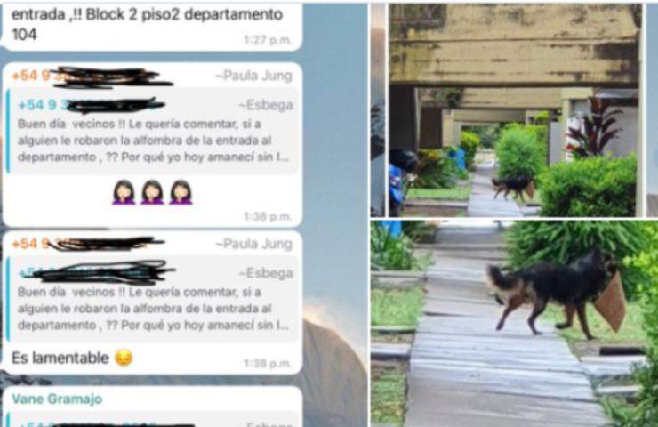 robos condominio barrio perro