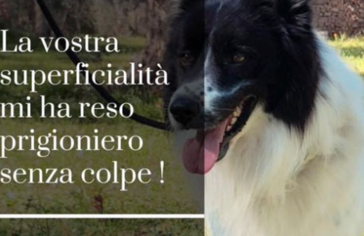 calvario años de sufrimiento encerrado