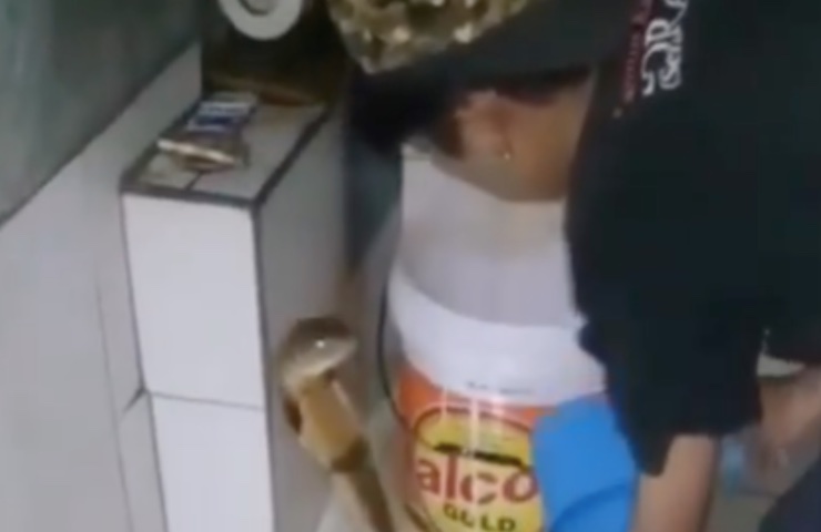 tratar a la serpiente como perro