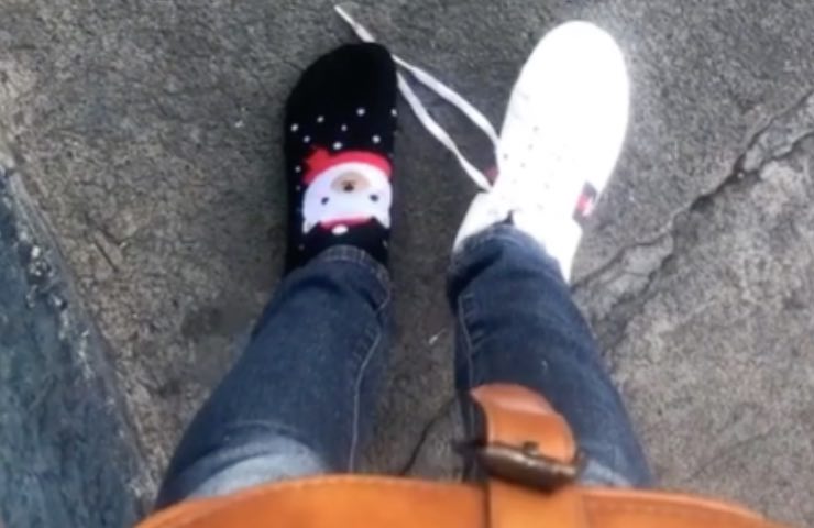 perro roba zapato de calle