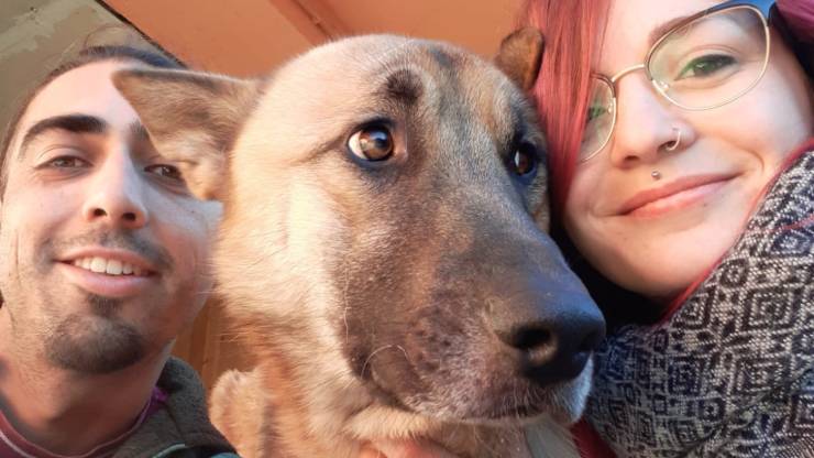 Héctor perro desapareció