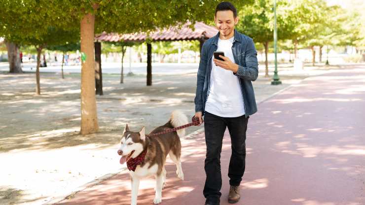 porque no miras tu celular cuando paseas al perro