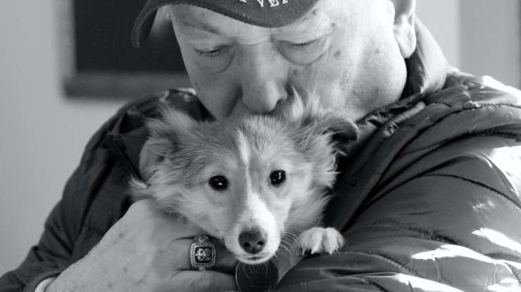 perro y anciano