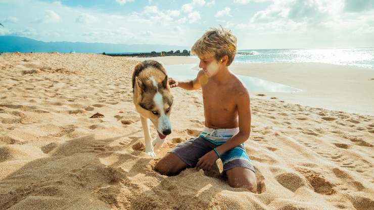 perro de vacaciones