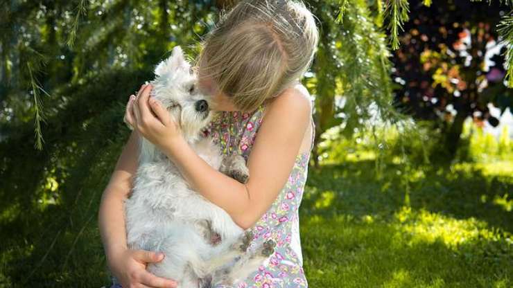 niña y perro