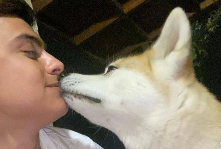 Paulo Dybala y sus perros