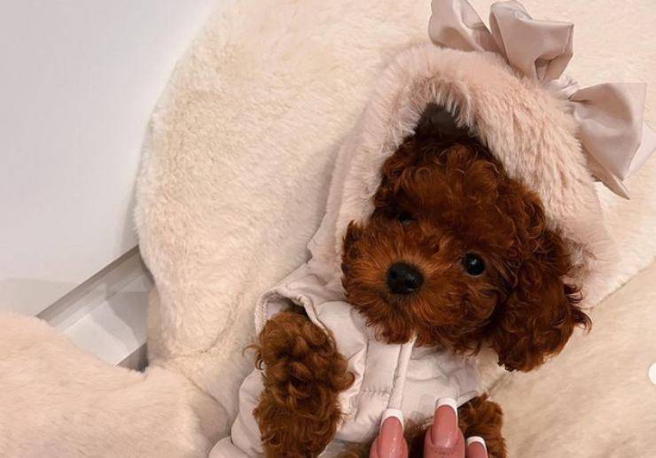 El perro de Chiara Nasti