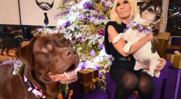 Bastón Donatella Versace