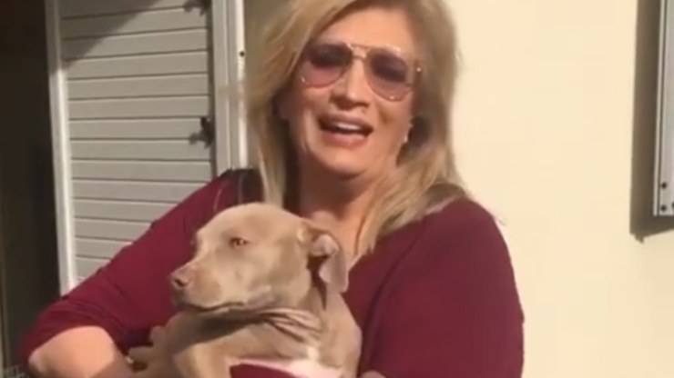 Iva Zanicchi y sus perros