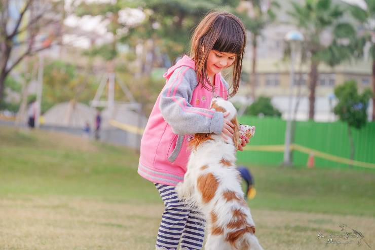 Razas de perros para niños hiperactivos