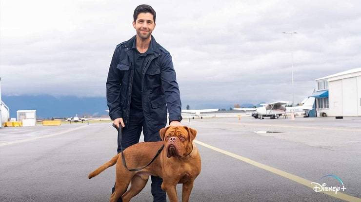 dogo de burdeos series de tv