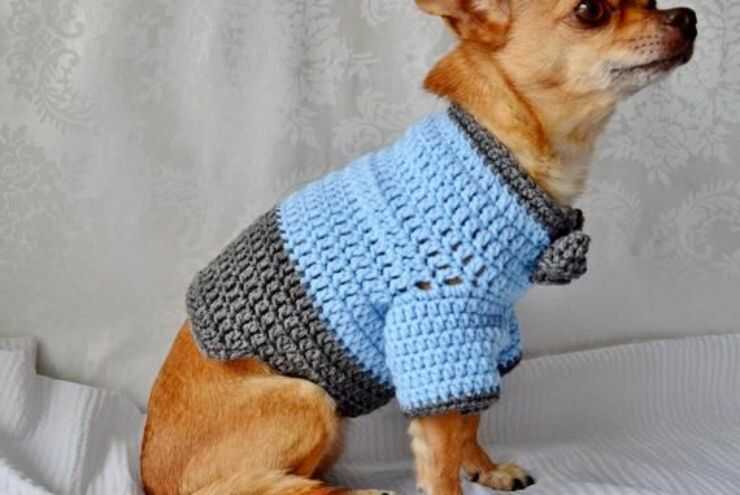 suéter de perro de bricolaje
