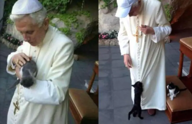 adiós ratzinger pontífice gatos