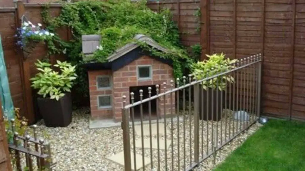 Construyendo una cerca para perros de bricolaje ideas y fotos Vida