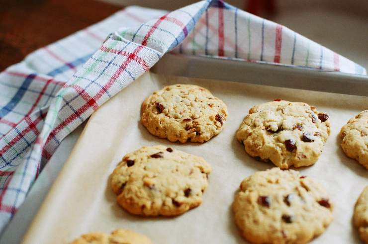 Galletas veganas para perros: las recetas más saludables y deliciosas -  Vida con Mascotas ▷➡️