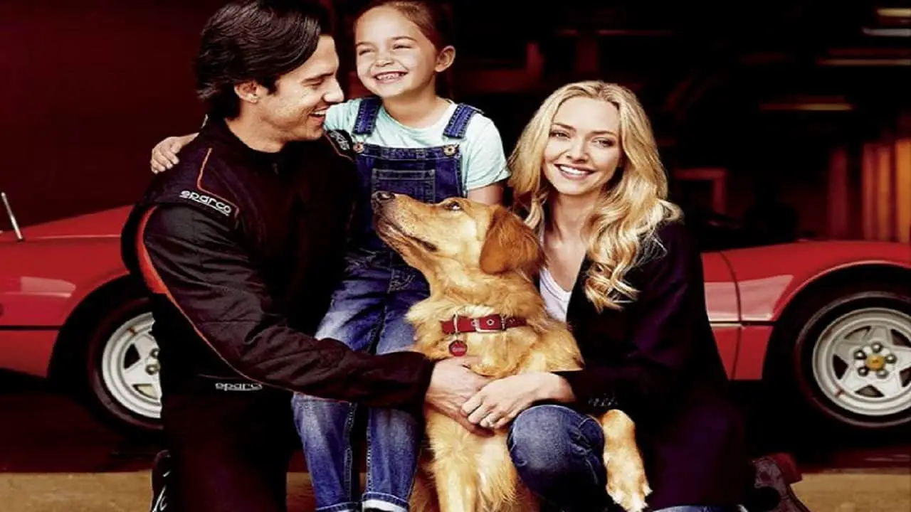 Películas con Labrador Retrievers: los 6 títulos que no te puedes ...