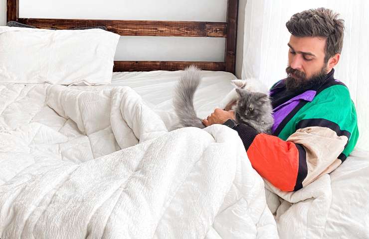 gato despierta hombre