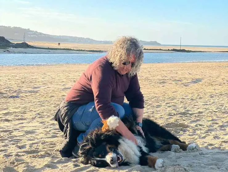 ayuda con quimioterapia para perros