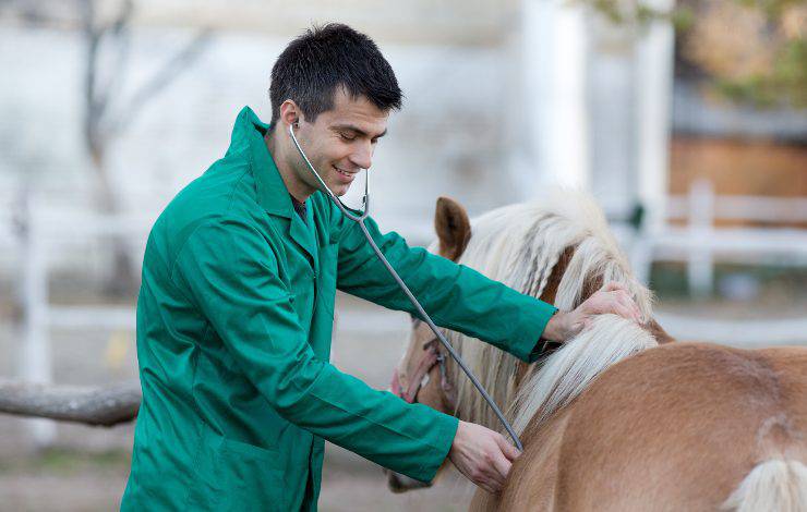 caballero