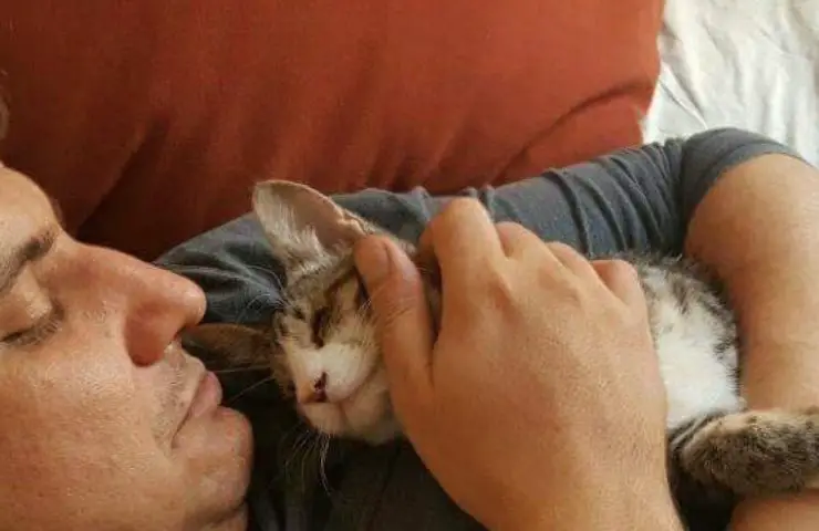 gatito ciego junio abrazo