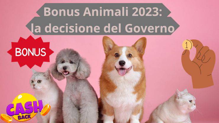 La decisión del Gobierno sobre el Bono Animal de 2023