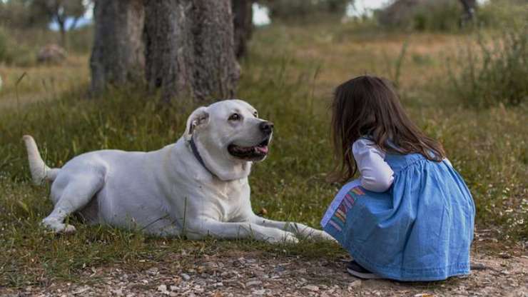 crecer con un perro es bueno para los intestinos