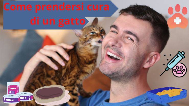 gato y dueño