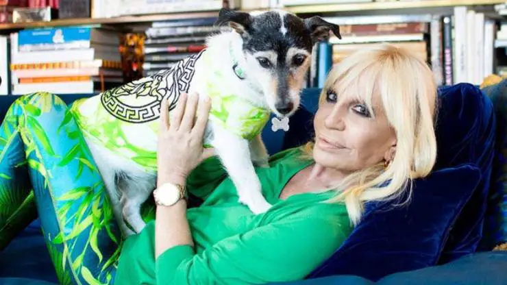 ¿Quién es el perro de Donatella Versace? Bastón Donatella Versace
