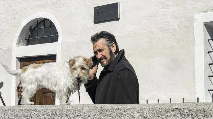 perro rocco schiavone