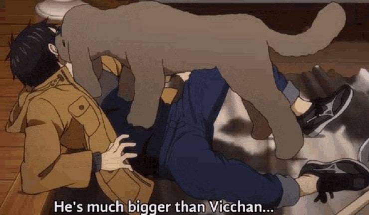 el perro de yuri
