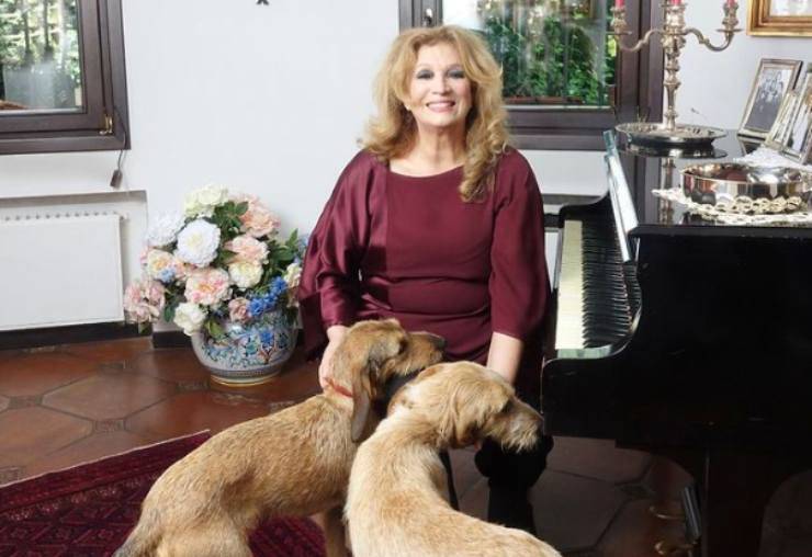 Iva Zanicchi y sus perros