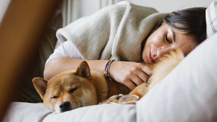 La calidad del sueño del perro depende del dueño