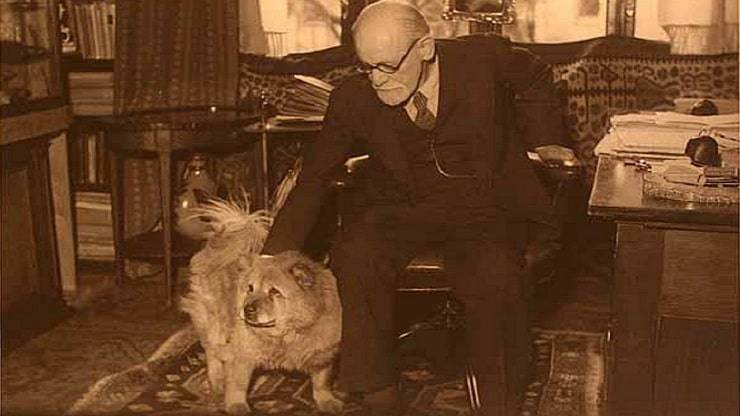 el perro de freud