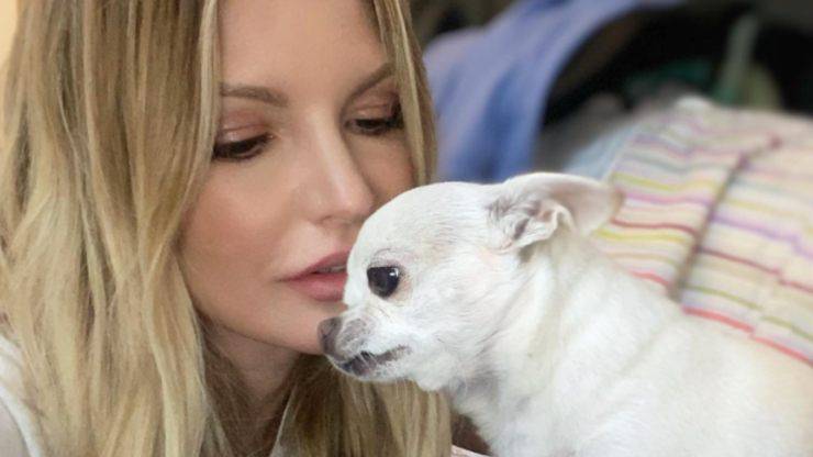 ¿Quiénes son los perros de Licia Núñez? Licia Núñez y sus perros