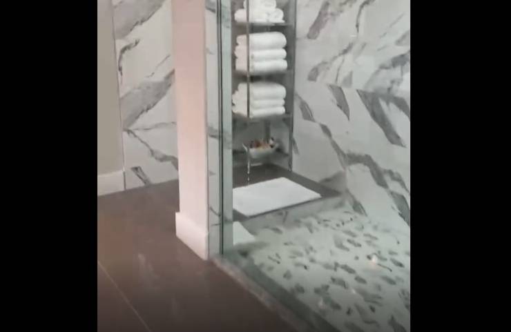bienestar del perro paralizado