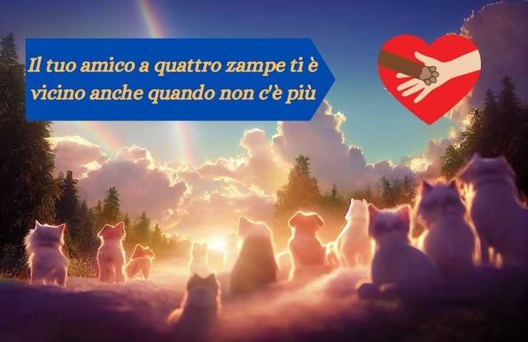perros y gatos en el cielo