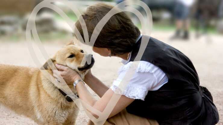 Perros maestro voz madre