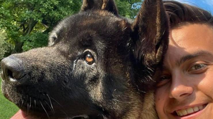 ¿Quiénes son los perros de Paulo Dybala? Paulo Dybala y sus perros