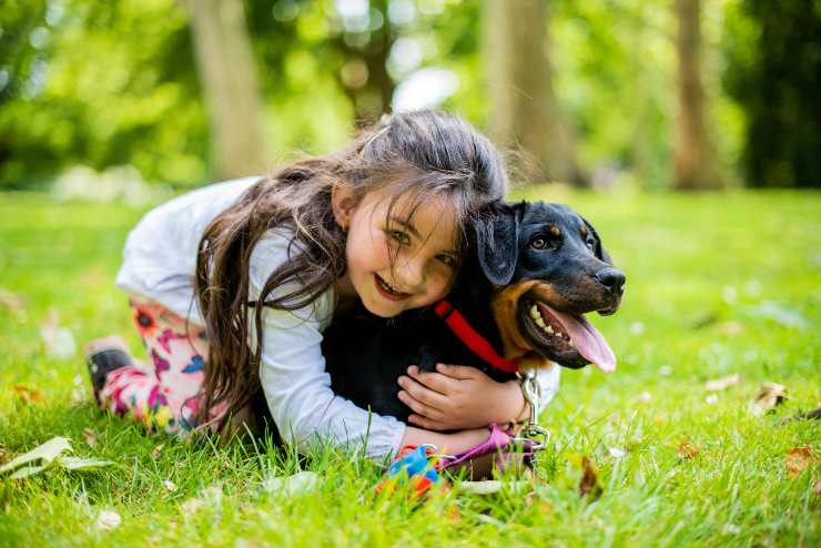 Razas de perros para niños hiperactivos Razas de perros para niños hiperactivos