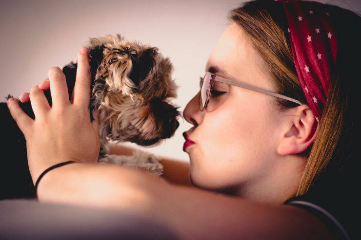 Razas de perros que aman los besos Razas de perros que aman los besos