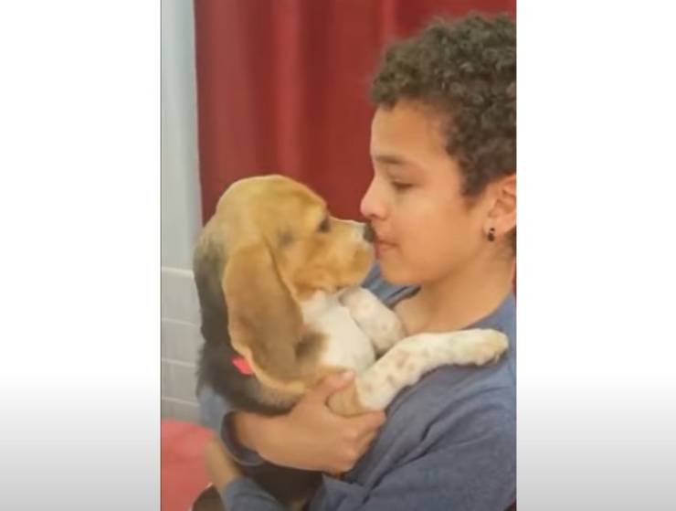 salida hijo cambios