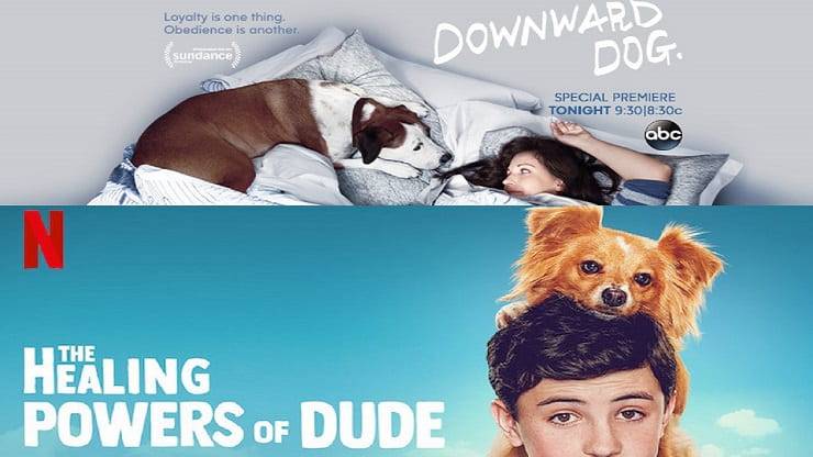 series de televisión con perros