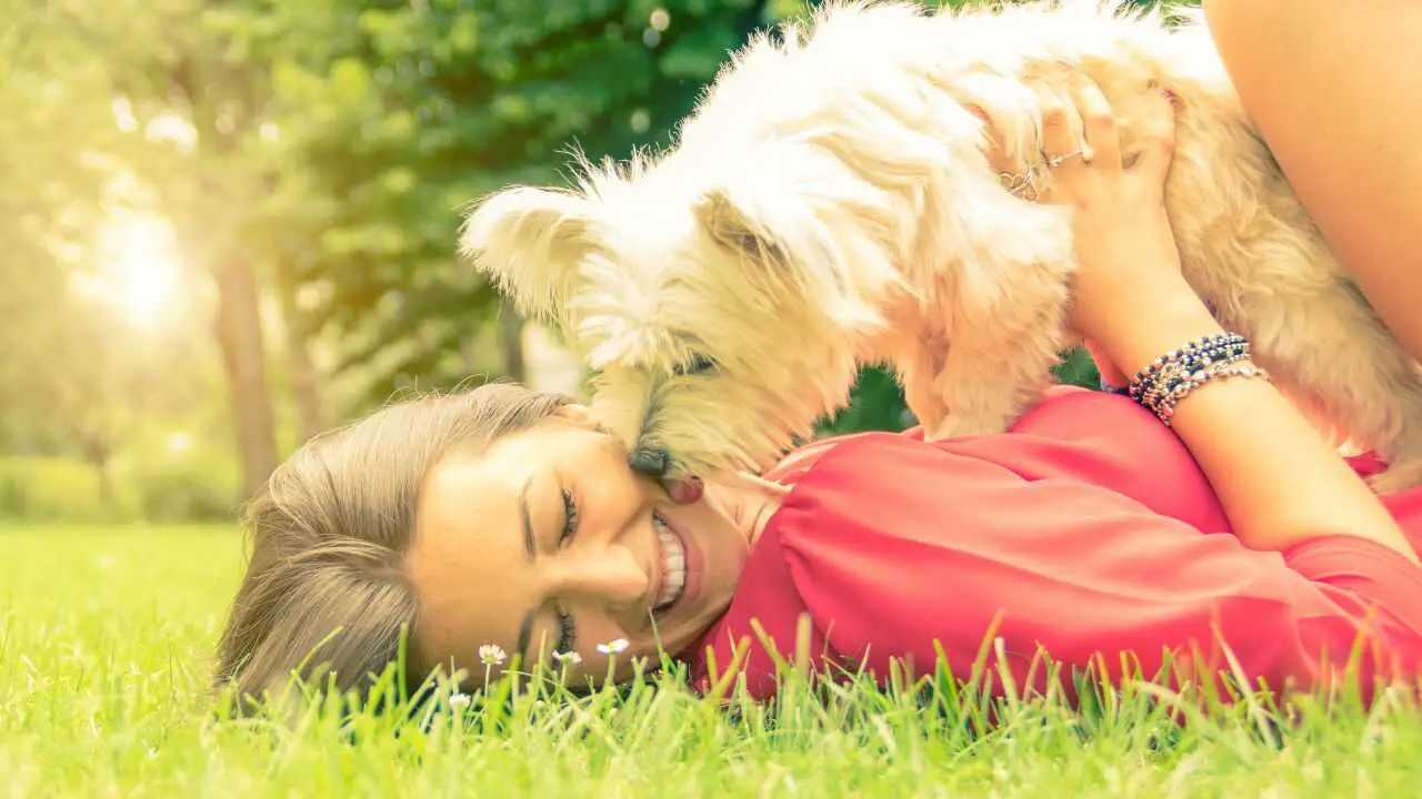 Perro y compañero humano en un tierno abrazo ¿Nuestras elecciones afectan el comportamiento del perro?