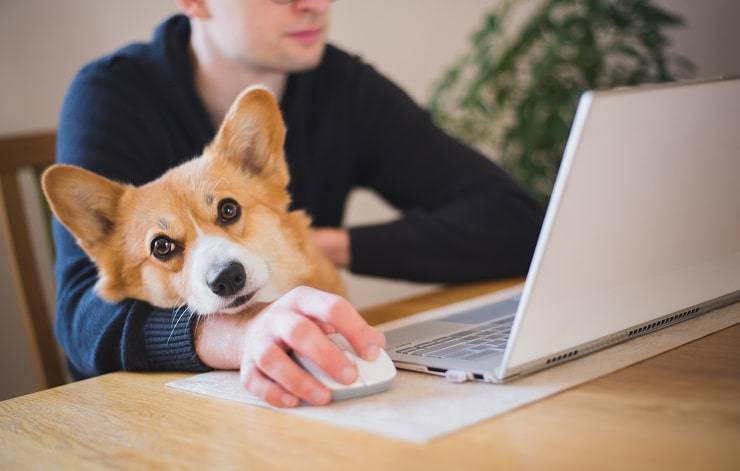 dia del perro en la oficina