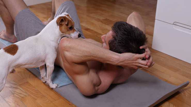 por que el perro se lame el ombligo